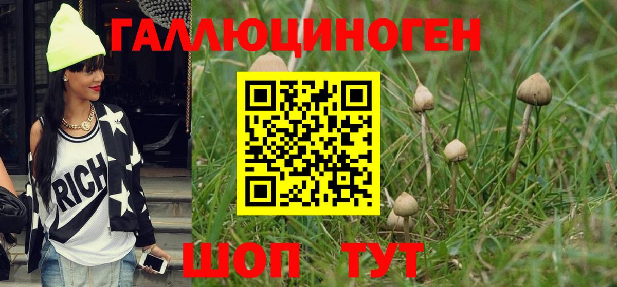 Галлюциногенные грибы мухоморы  дарнет шоп  Зеленогорск  Вход с VPN 