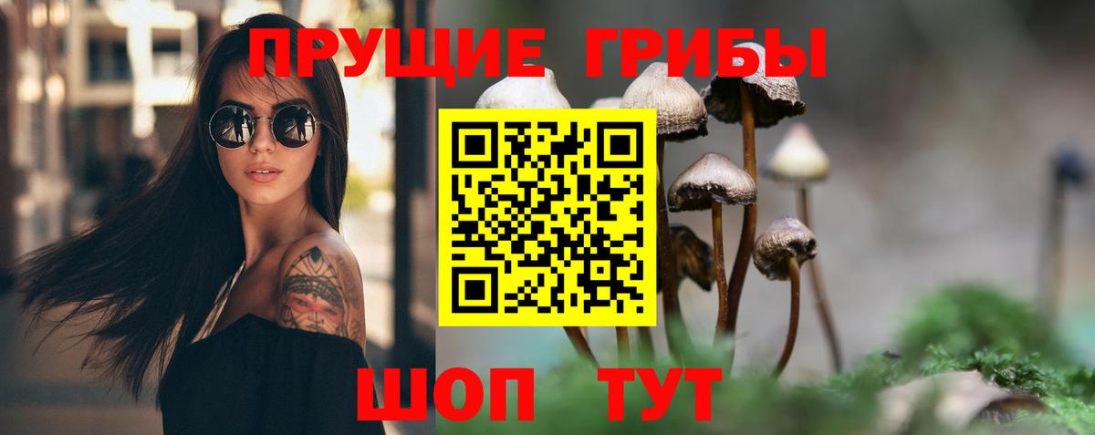Галлюциногенные грибы ЛСД Зеленогорск