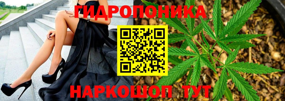 Зеленогорск  Канабис MAZAR  Бошки Шишки Ganja  МАРИХУАНА Amnesia  Вход с VPN  Бошки марихуана LSD WEED 